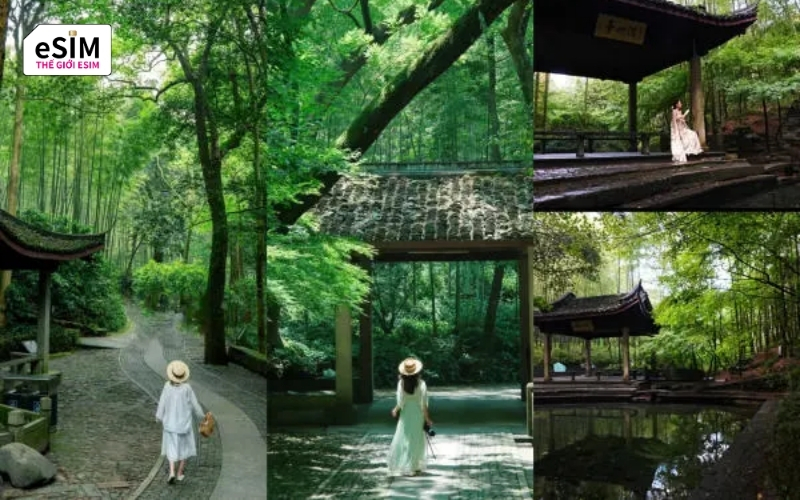 Con đường tre Vân Tây nằm dưới chân núi Ngũ Vân, phía Tây Nam Tây Hồ